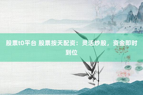 股票t0平台 股票按天配资：灵活炒股，资金即时到位