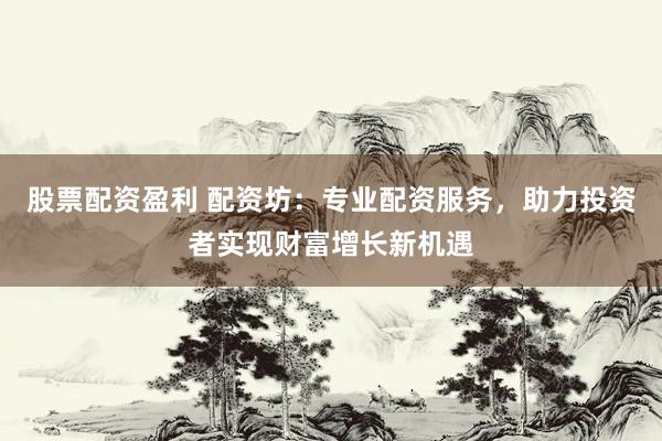 股票配资盈利 配资坊：专业配资服务，助力投资者实现财富增长新机遇