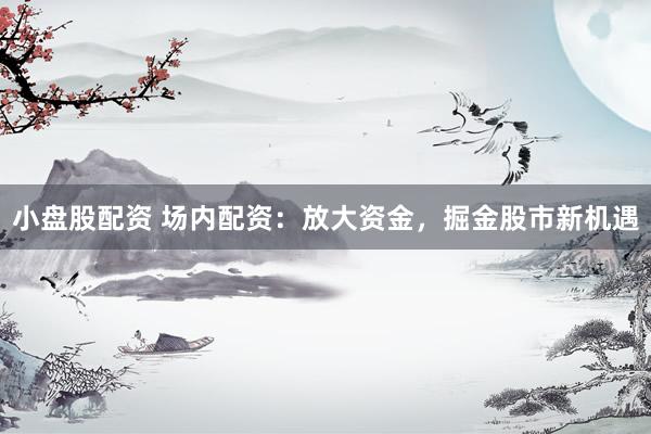 小盘股配资 场内配资：放大资金，掘金股市新机遇
