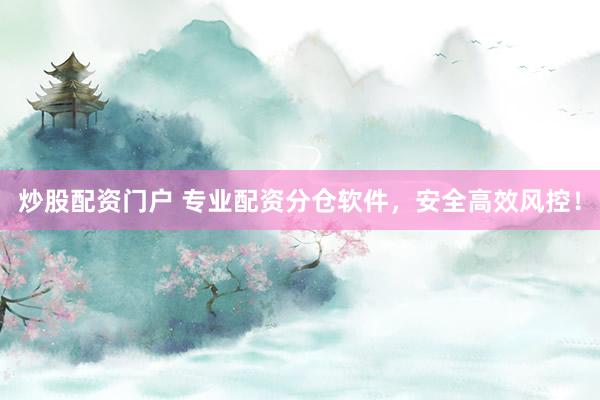 炒股配资门户 专业配资分仓软件，安全高效风控！