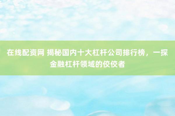 在线配资网 揭秘国内十大杠杆公司排行榜，一探金融杠杆领域的佼佼者