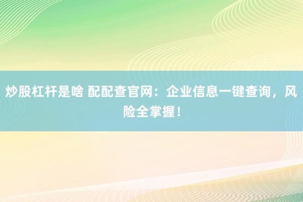 炒股杠杆是啥 配配查官网:企业信息一键查询,风险全掌握!