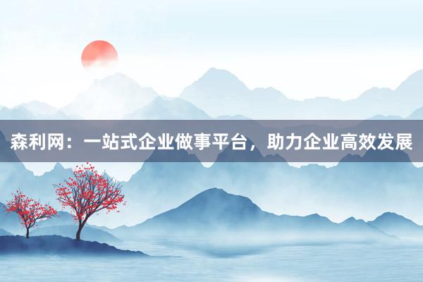 森利网:一站式企业做事平台,助力企业高效发展