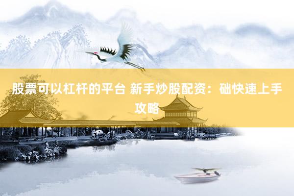 股票可以杠杆的平台 新手炒股配资：础快速上手攻略