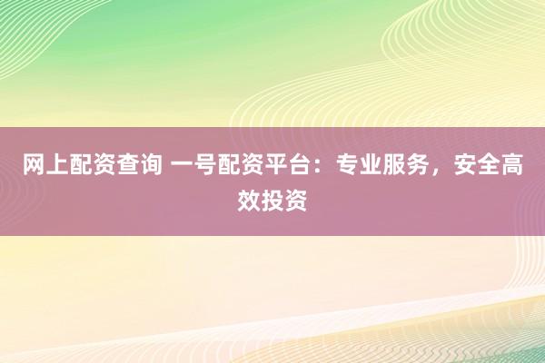 网上配资查询 一号配资平台：专业服务，安全高效投资