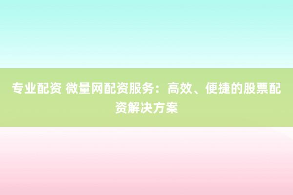 专业配资 微量网配资服务：高效、便捷的股票配资解决方案