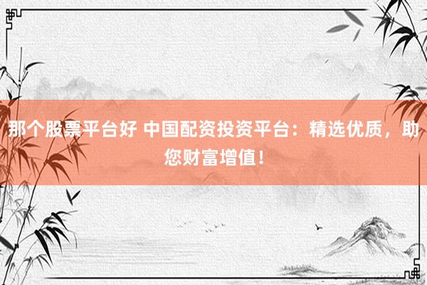 那个股票平台好 中国配资投资平台：精选优质，助您财富增值！